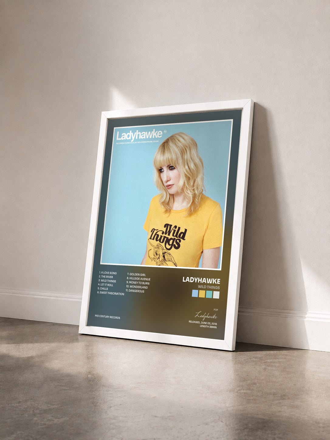 #blanc Tableau de l'album Wild Things de Ladyhawke vu de trois quarts, cadre blanc
