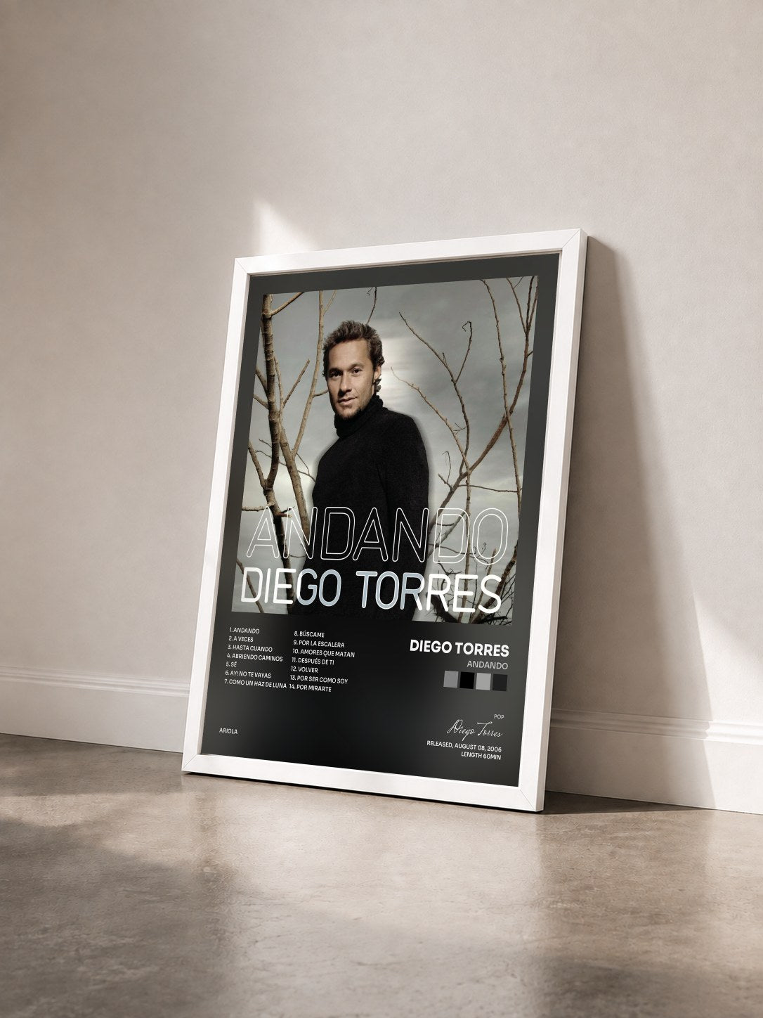 #blanc Tableau de l'album Andando de Diego Torres vu de trois quarts, cadre blanc