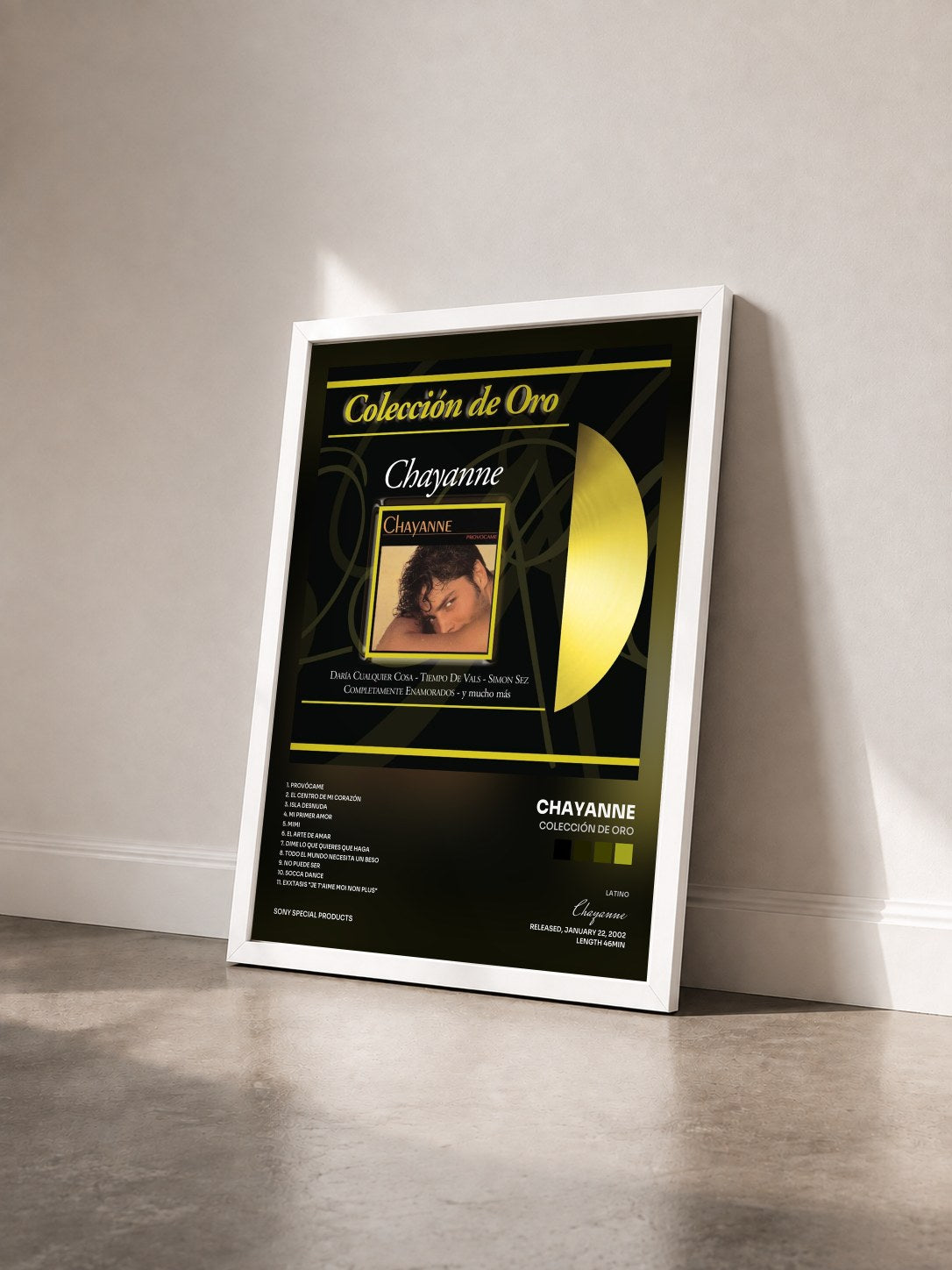 #blanc Tableau de l'album Colección De Oro de Chayanne vu de trois quarts, cadre blanc
