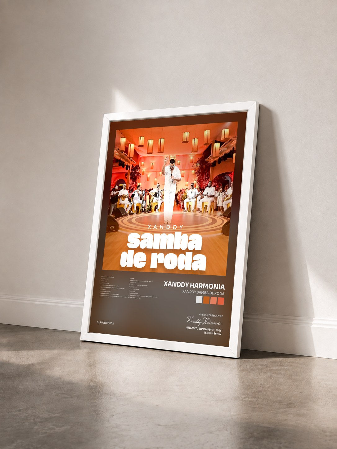 #blanc Tableau de l'album Xanddy Samba de Roda de Xanddy Harmonia vu de trois quarts, cadre blanc