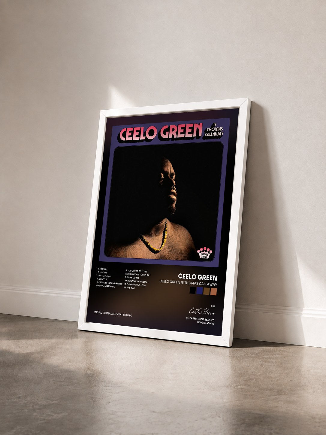 #blanc Tableau de l'album CeeLo Green is Thomas Callaway de CeeLo Green vu de trois quarts, cadre blanc
