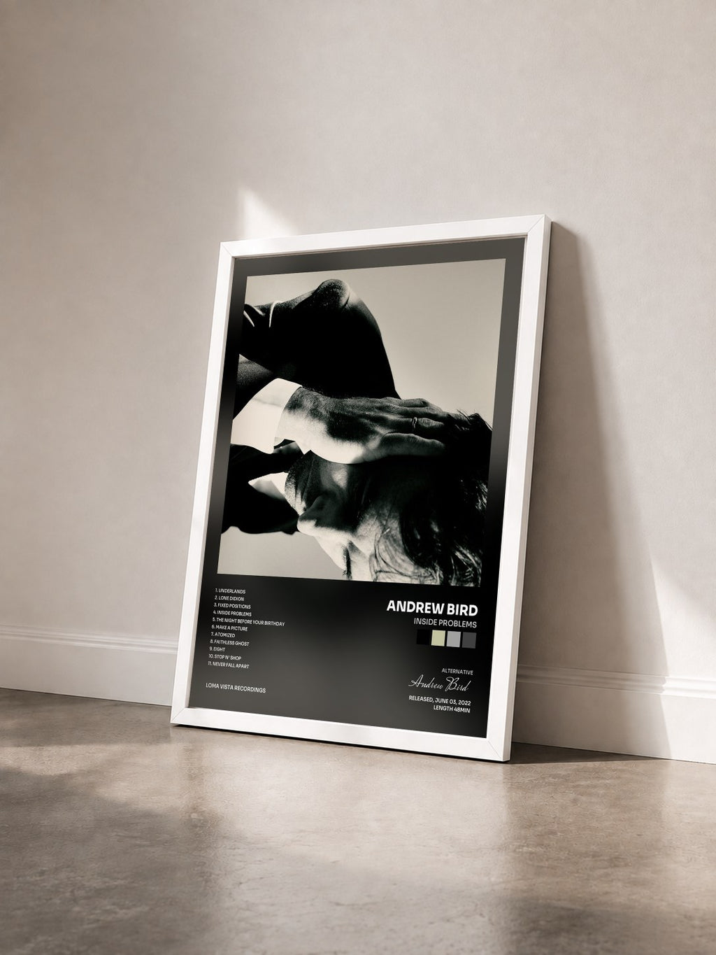 #blanc Tableau de l'album Inside Problems de Andrew Bird vu de trois quarts, cadre blanc