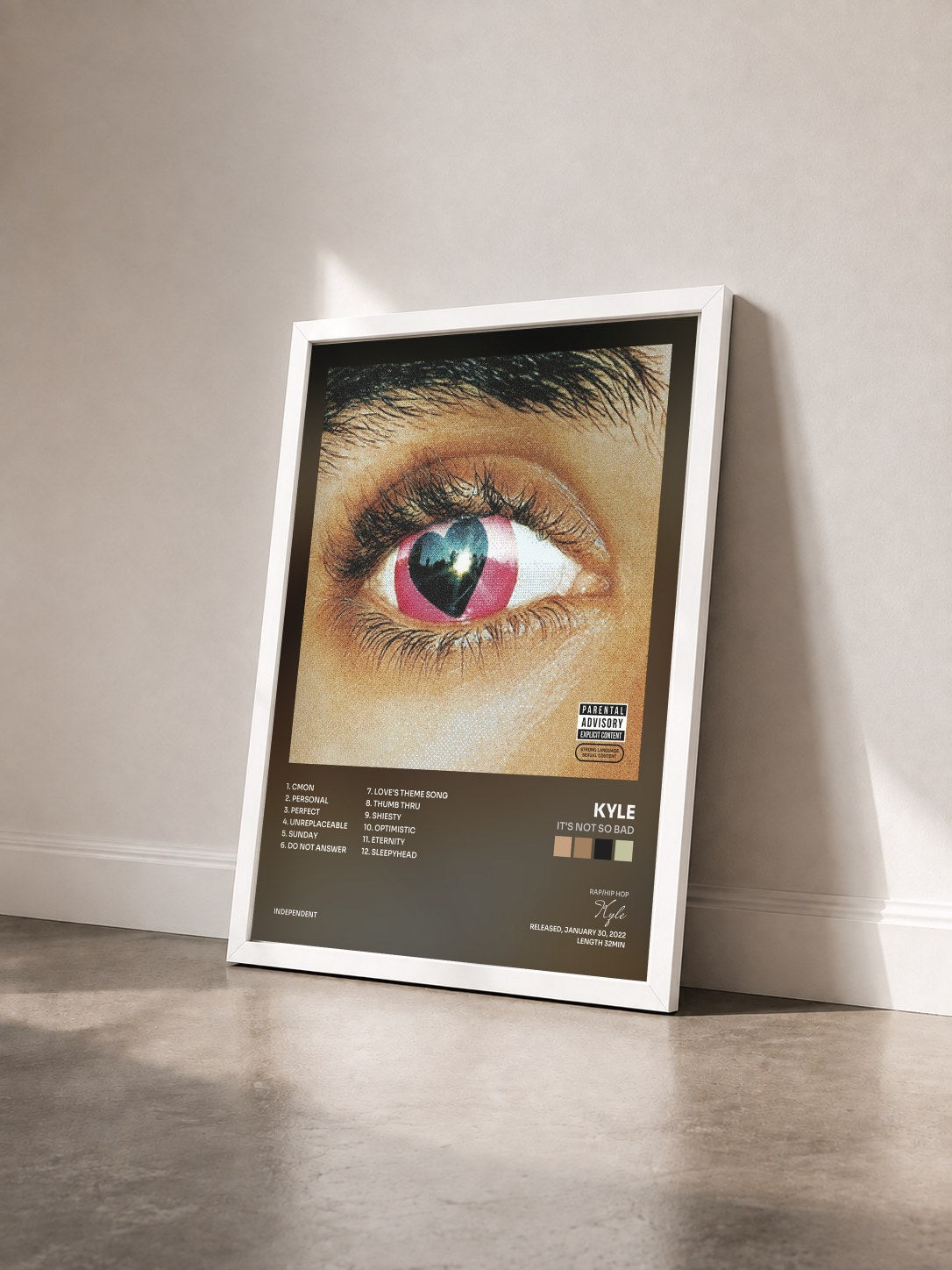 #blanc Tableau de l'album It's Not so Bad de Kyle vu de trois quarts, cadre blanc