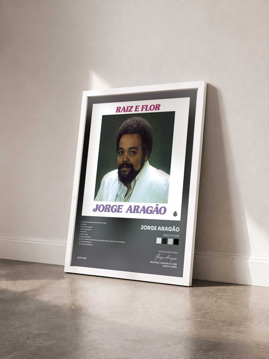#blanc Tableau de l'album Raiz e Flor de Jorge Aragão vu de trois quarts, cadre blanc