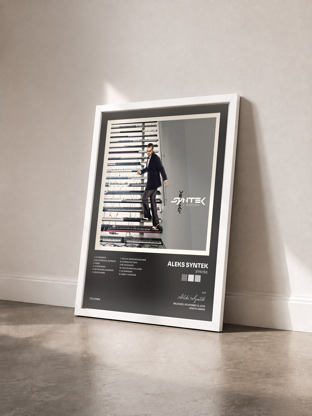 #blanc Tableau de l'album Syntek de Aleks Syntek vu de trois quarts, cadre blanc