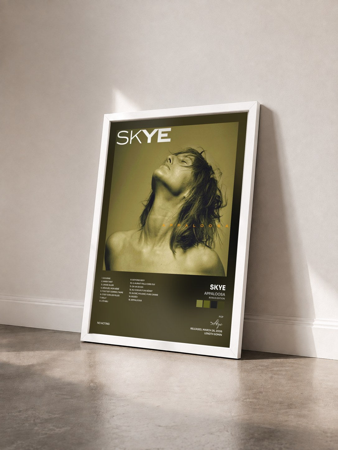 #blanc Tableau de l'album Appaloosa (Bonus Edition) de Skye vu de trois quarts, cadre blanc