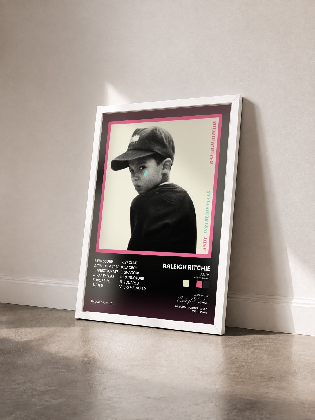 #blanc Tableau de l'album Andy (Instrumentals) de Raleigh Ritchie vu de trois quarts, cadre blanc