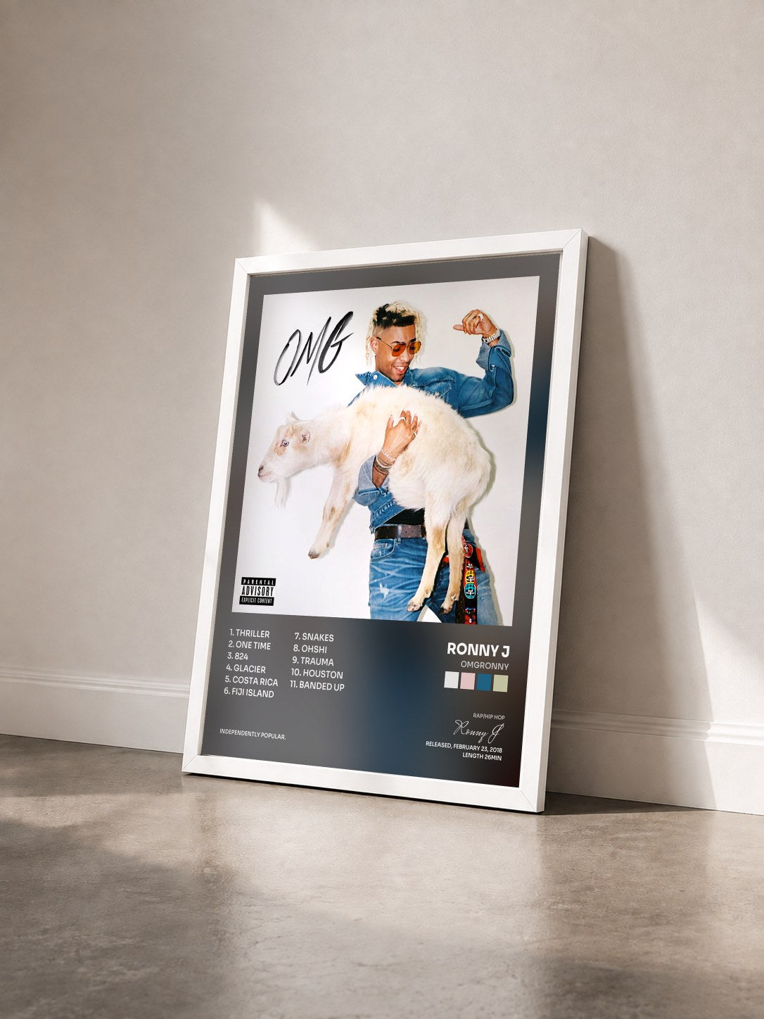 #blanc Tableau de l'album OMGRONNY de Ronny J vu de trois quarts, cadre blanc