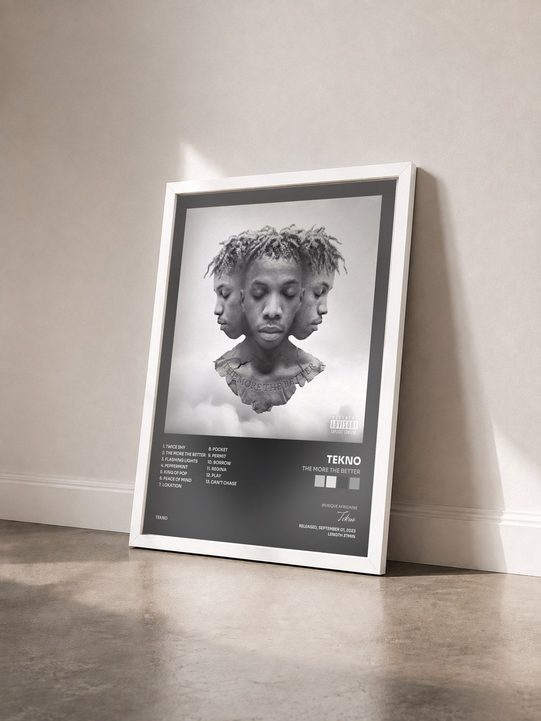 #blanc Tableau de l'album The More The Better de Tekno vu de trois quarts, cadre blanc