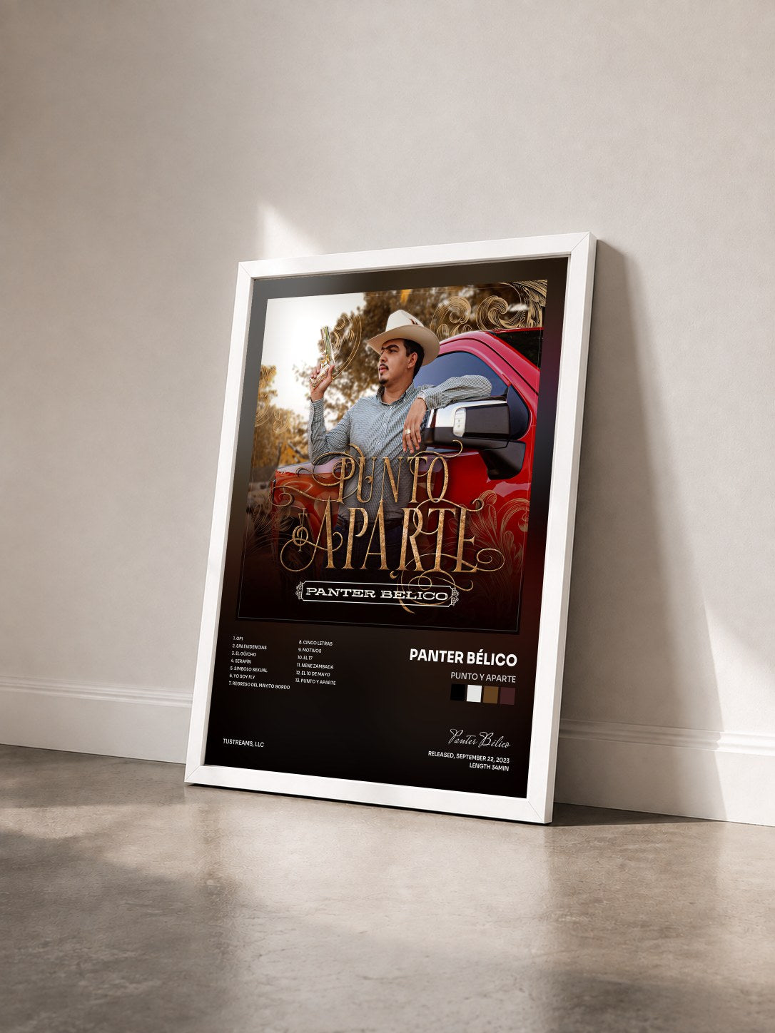 #blanc Tableau de l'album Punto y Aparte de Panter Bélico vu de trois quarts, cadre blanc