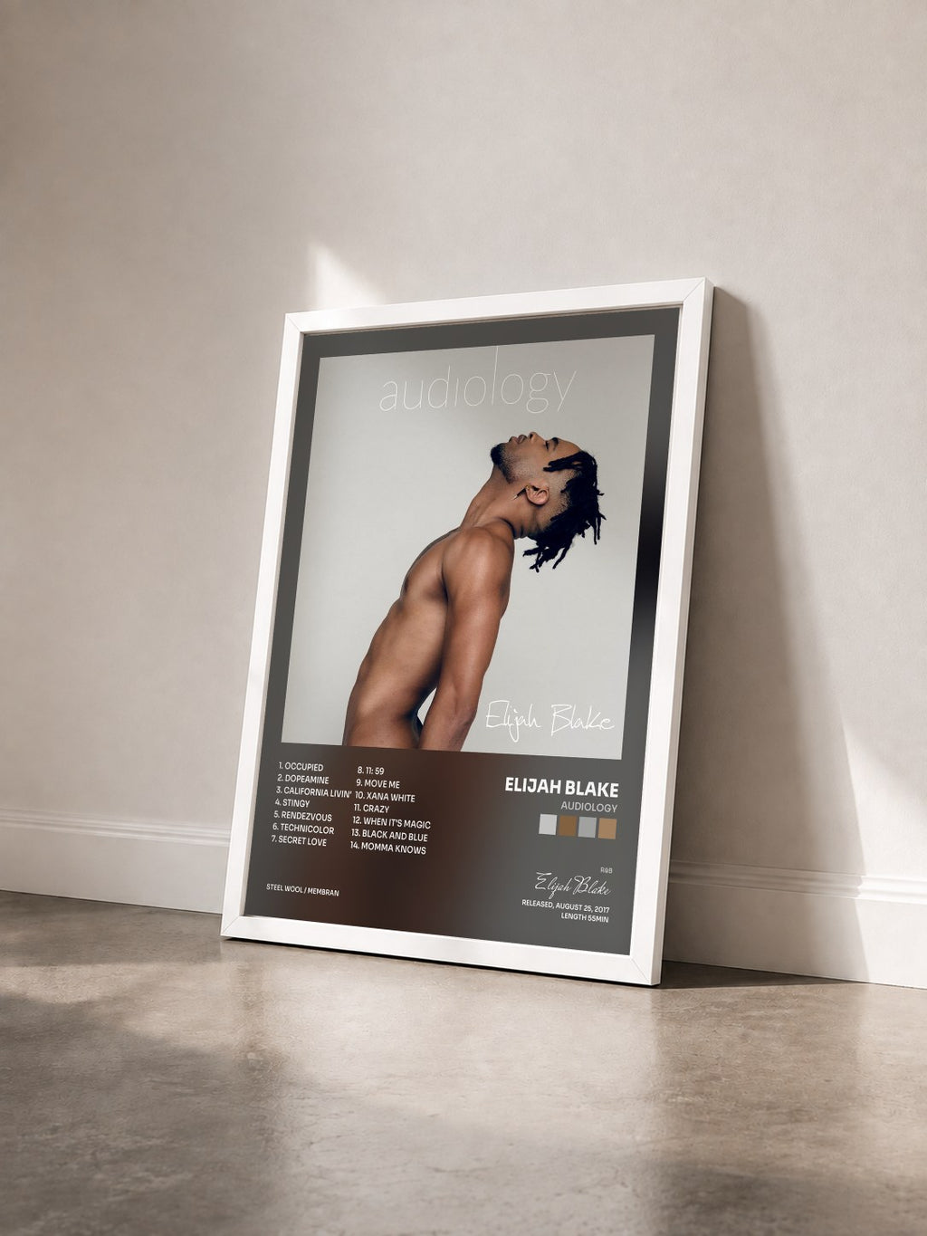 #blanc Tableau de l'album Audiology de Elijah Blake vu de trois quarts, cadre blanc