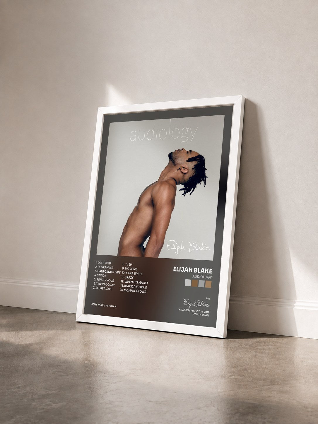 #blanc Tableau de l'album Audiology de Elijah Blake vu de trois quarts, cadre blanc