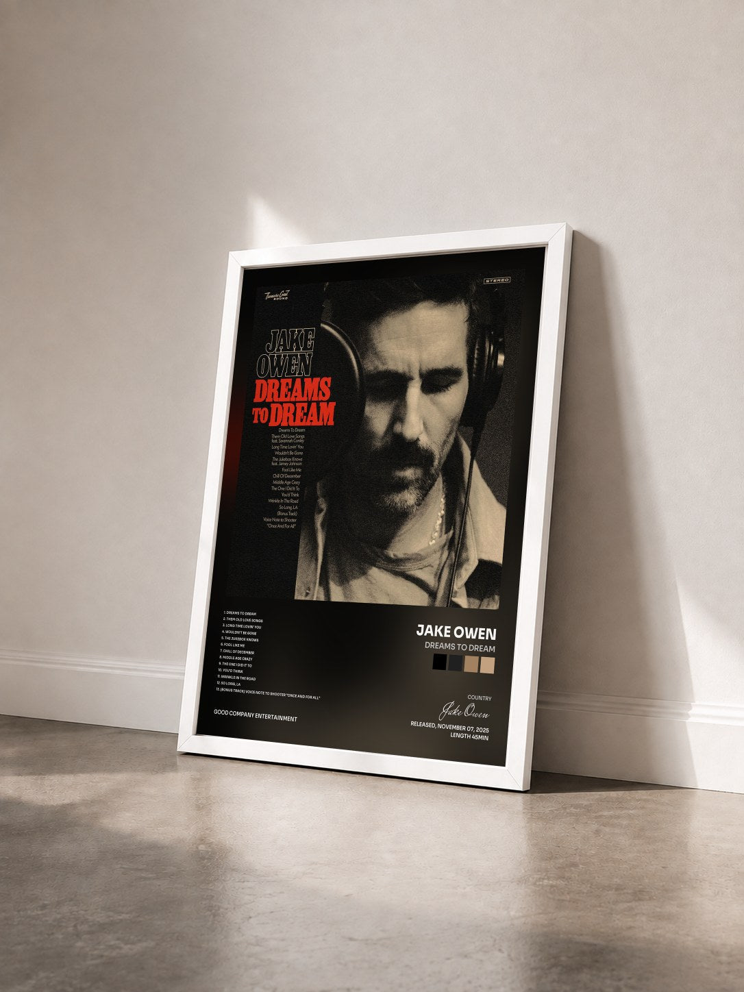 #blanc Tableau de l'album Dreams to Dream de Jake Owen vu de trois quarts, cadre blanc