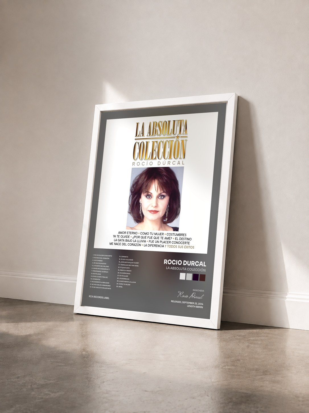 #blanc Tableau de l'album La Absoluta Colección de Rocio Durcal vu de trois quarts, cadre blanc