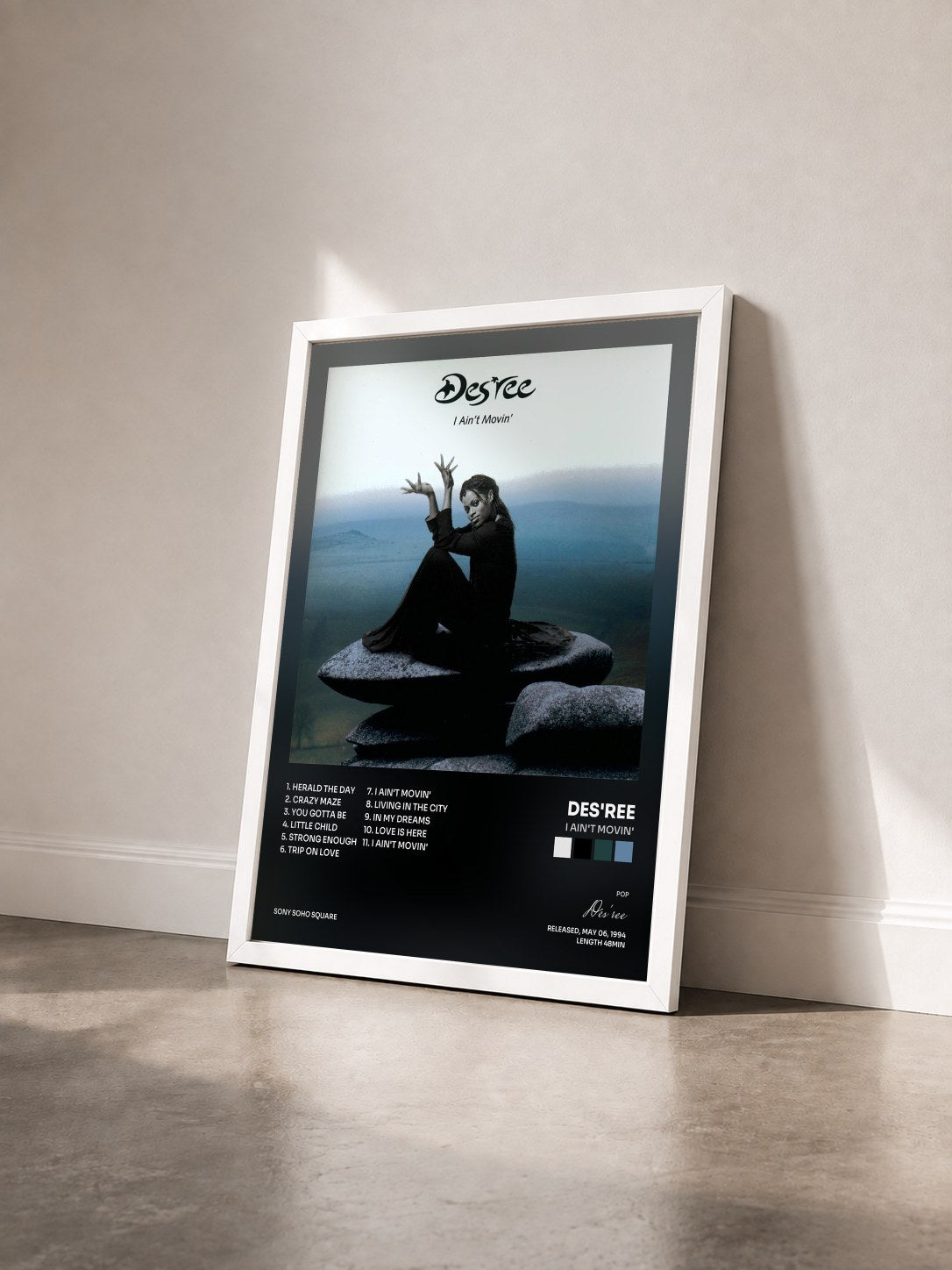 #blanc Tableau de l'album I Ain't Movin' de Des'ree vu de trois quarts, cadre blanc