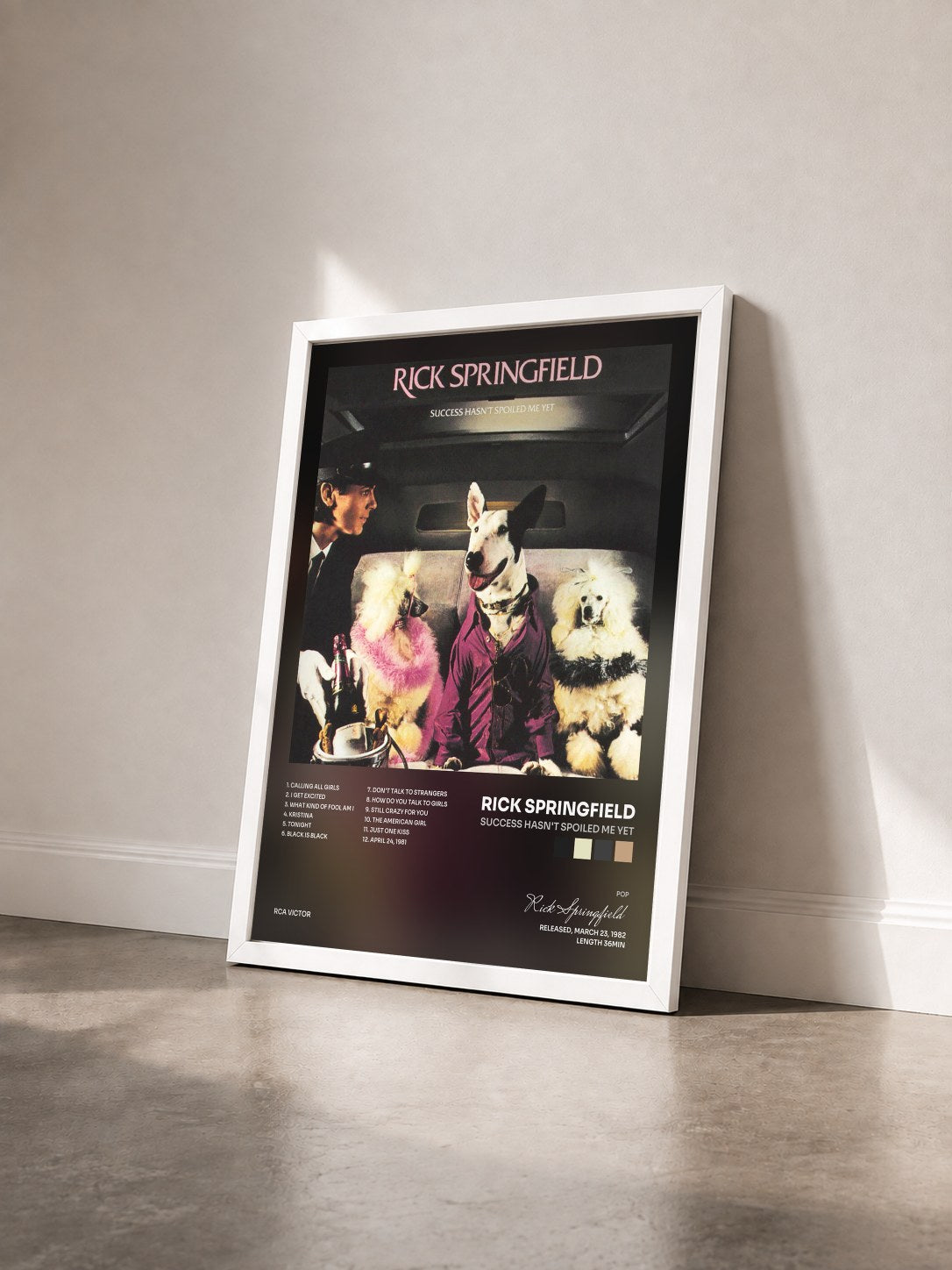 #blanc Tableau de l'album Success Hasn't Spoiled Me Yet de Rick Springfield vu de trois quarts, cadre blanc