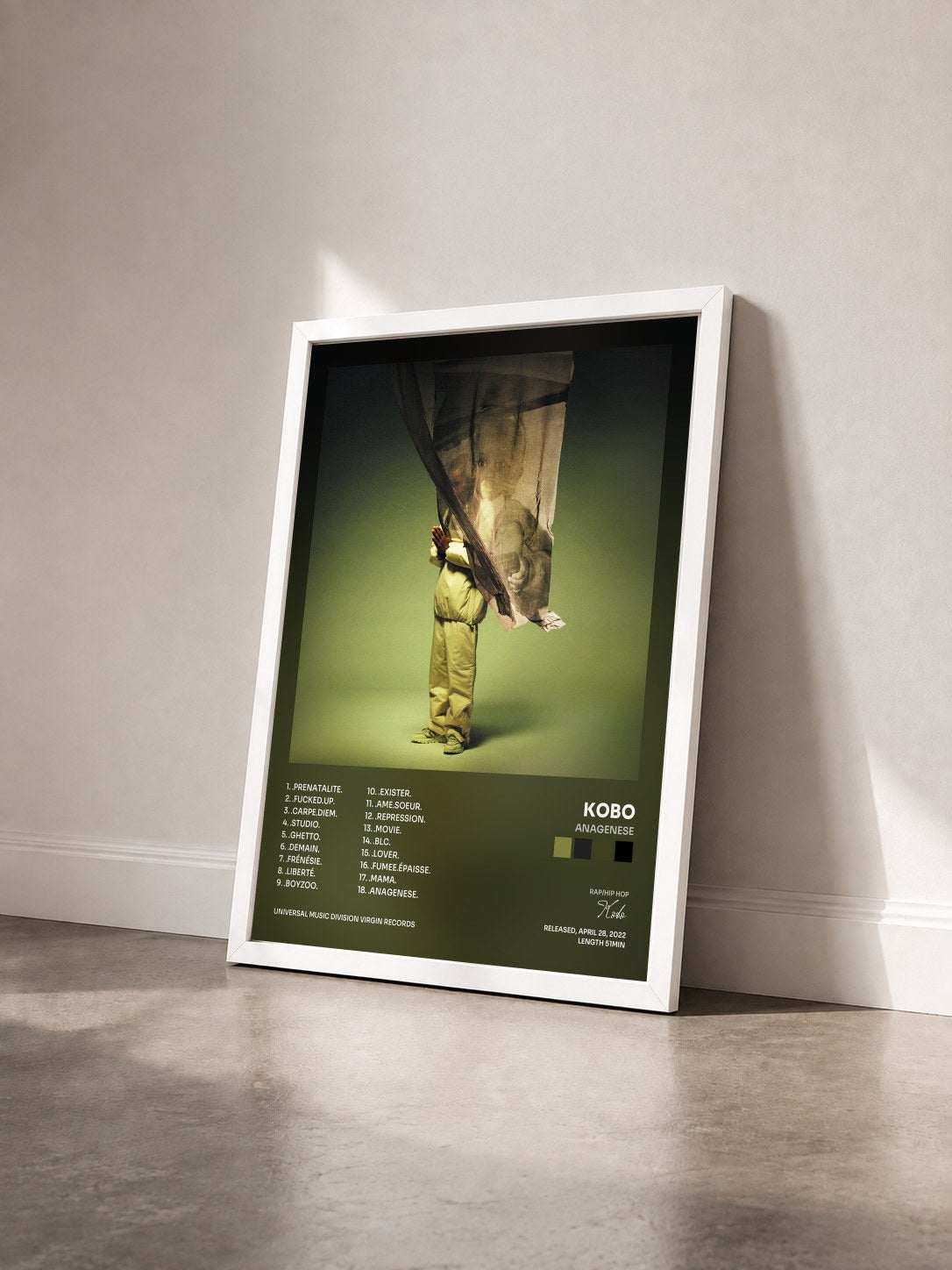 #blanc Tableau de l'album ANAGENESE de Kobo vu de trois quarts, cadre blanc