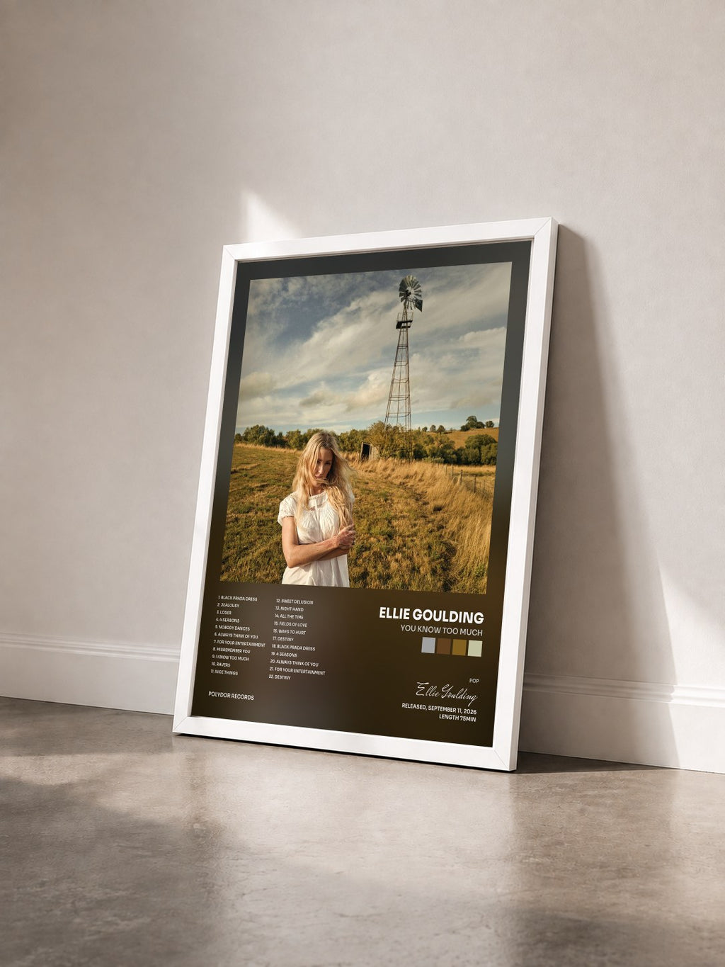 #blanc Tableau de l'album You Know Too Much de Ellie Goulding vu de trois quarts, cadre blanc