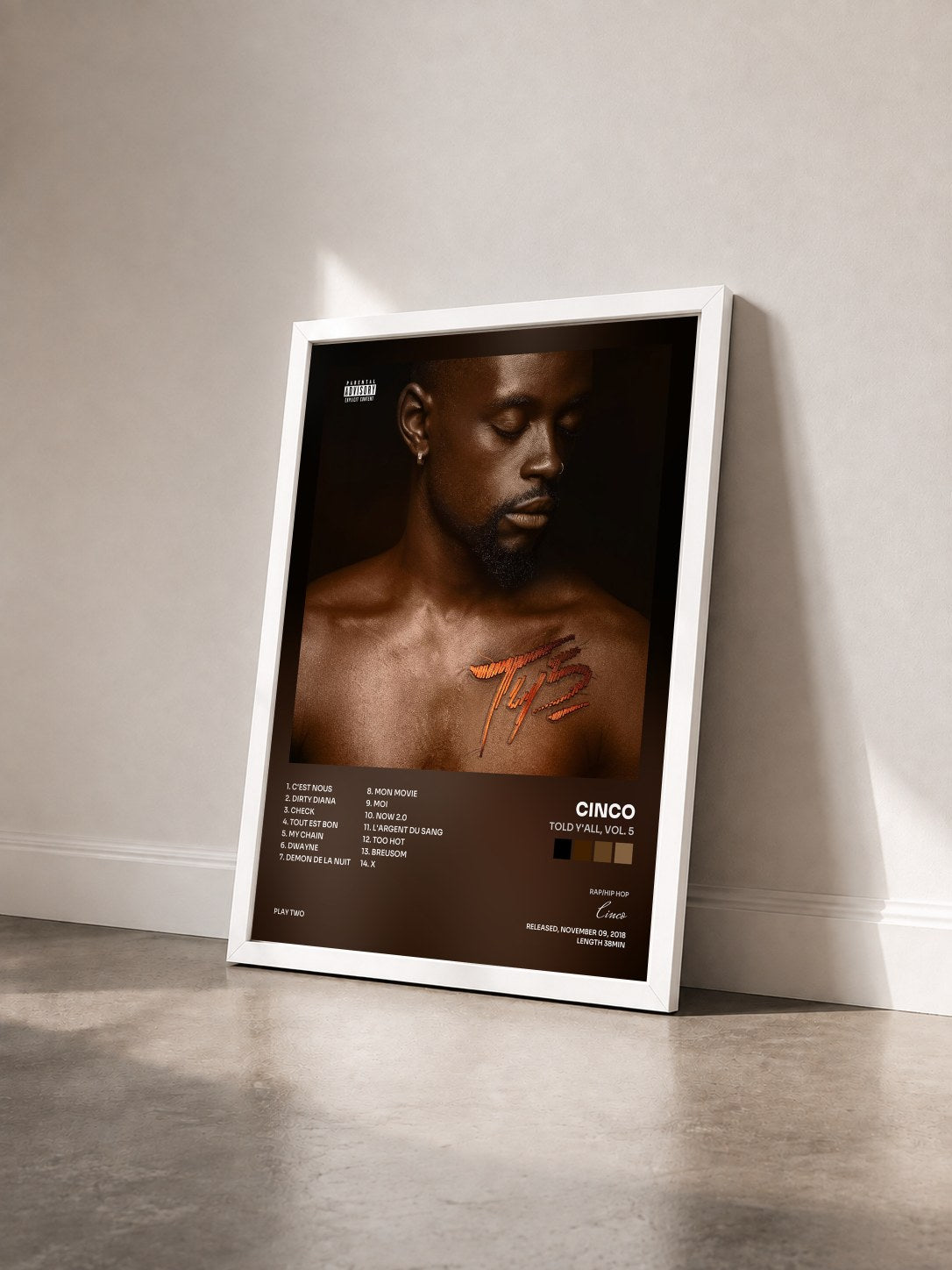 #blanc Tableau de l'album Told Y'all, Vol. 5 de Cinco vu de trois quarts, cadre blanc
