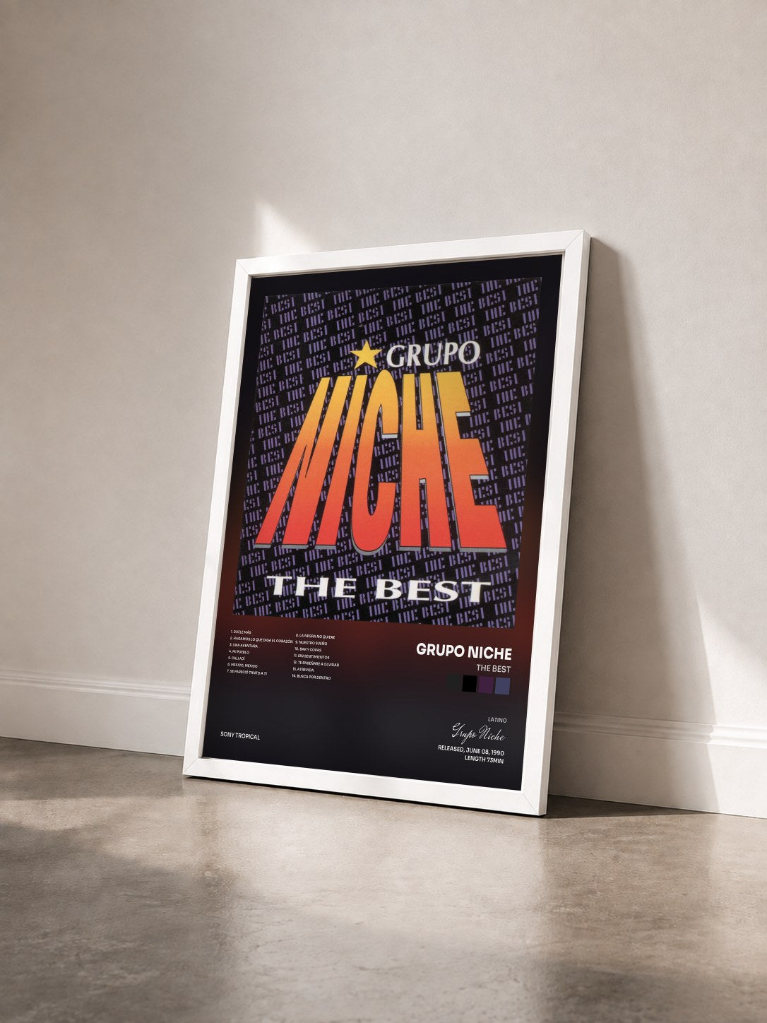 #blanc Tableau de l'album The Best de Grupo Niche vu de trois quarts, cadre blanc