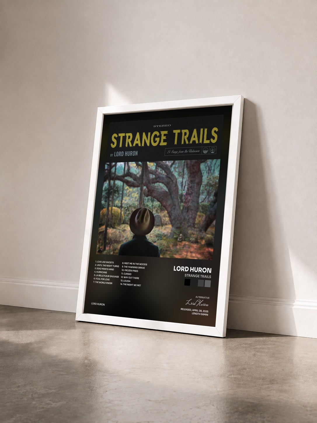 #blanc Tableau de l'album Strange Trails de Lord Huron vu de trois quarts, cadre blanc