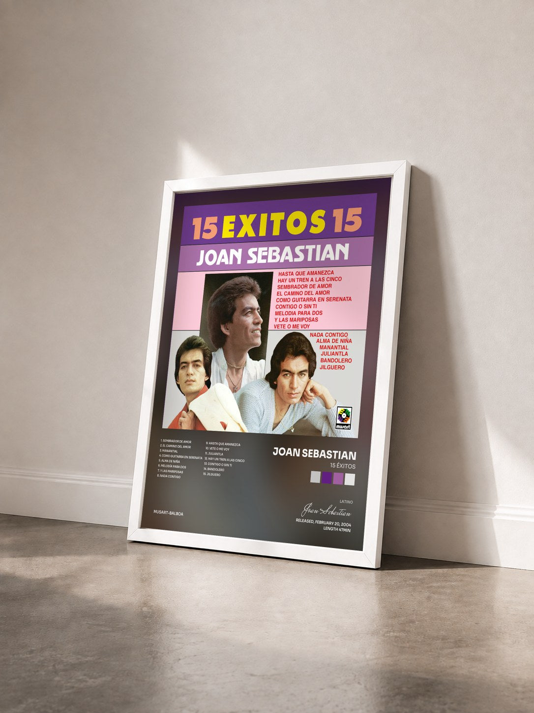 #blanc Tableau de l'album 15 Éxitos de Joan Sebastian vu de trois quarts, cadre blanc