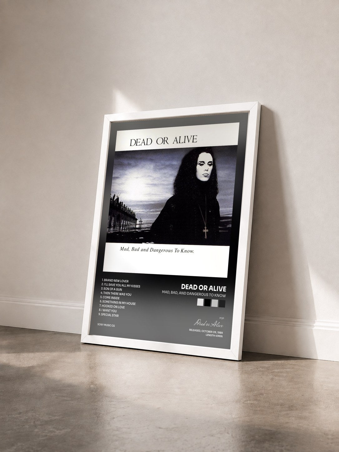 #blanc Tableau de l'album Mad, Bad, and Dangerous to Know de Dead or Alive vu de trois quarts, cadre blanc