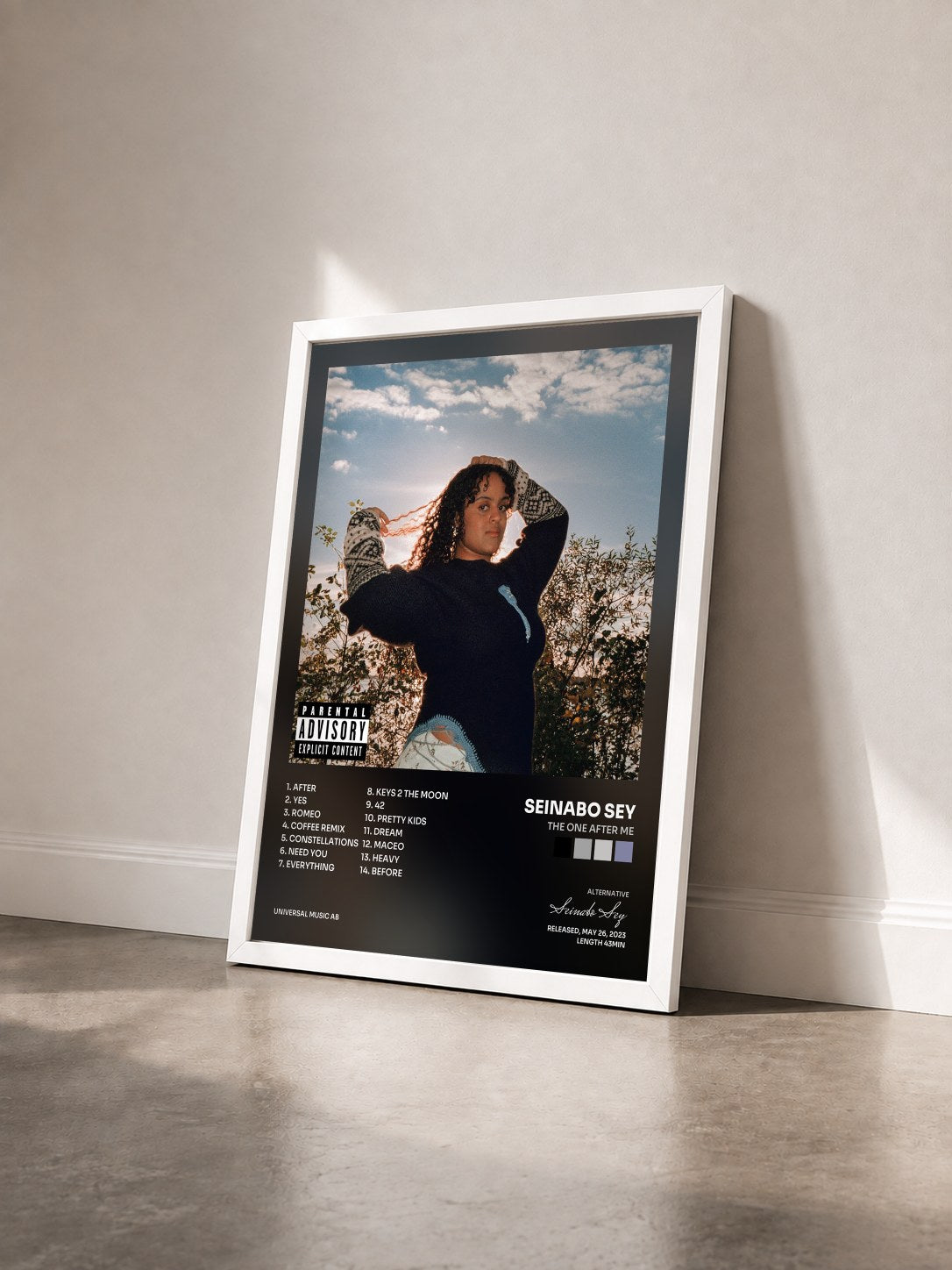#blanc Tableau de l'album THE ONE AFTER ME de Seinabo Sey vu de trois quarts, cadre blanc