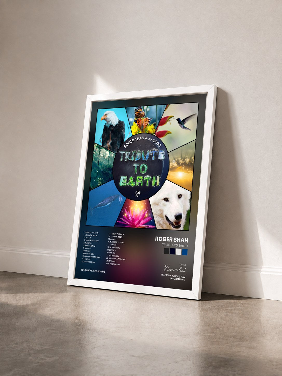 #blanc Tableau de l'album Tribute to Earth de Roger Shah vu de trois quarts, cadre blanc