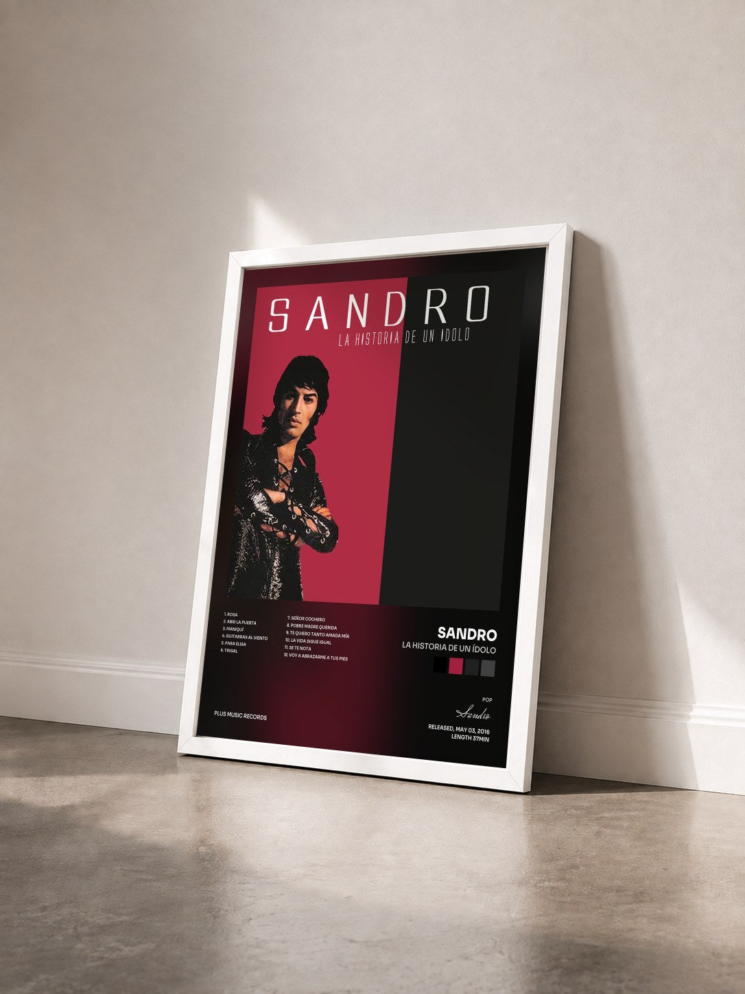 #blanc Tableau de l'album La Historia de un Ídolo de Sandro vu de trois quarts, cadre blanc