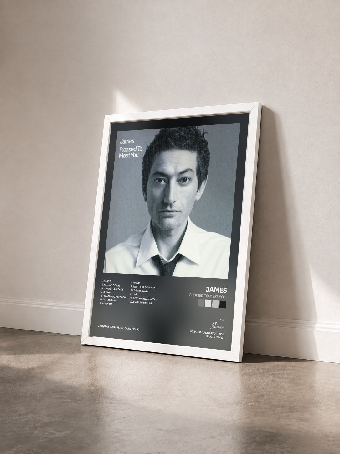 #blanc Tableau de l'album Pleased To Meet You de James vu de trois quarts, cadre blanc