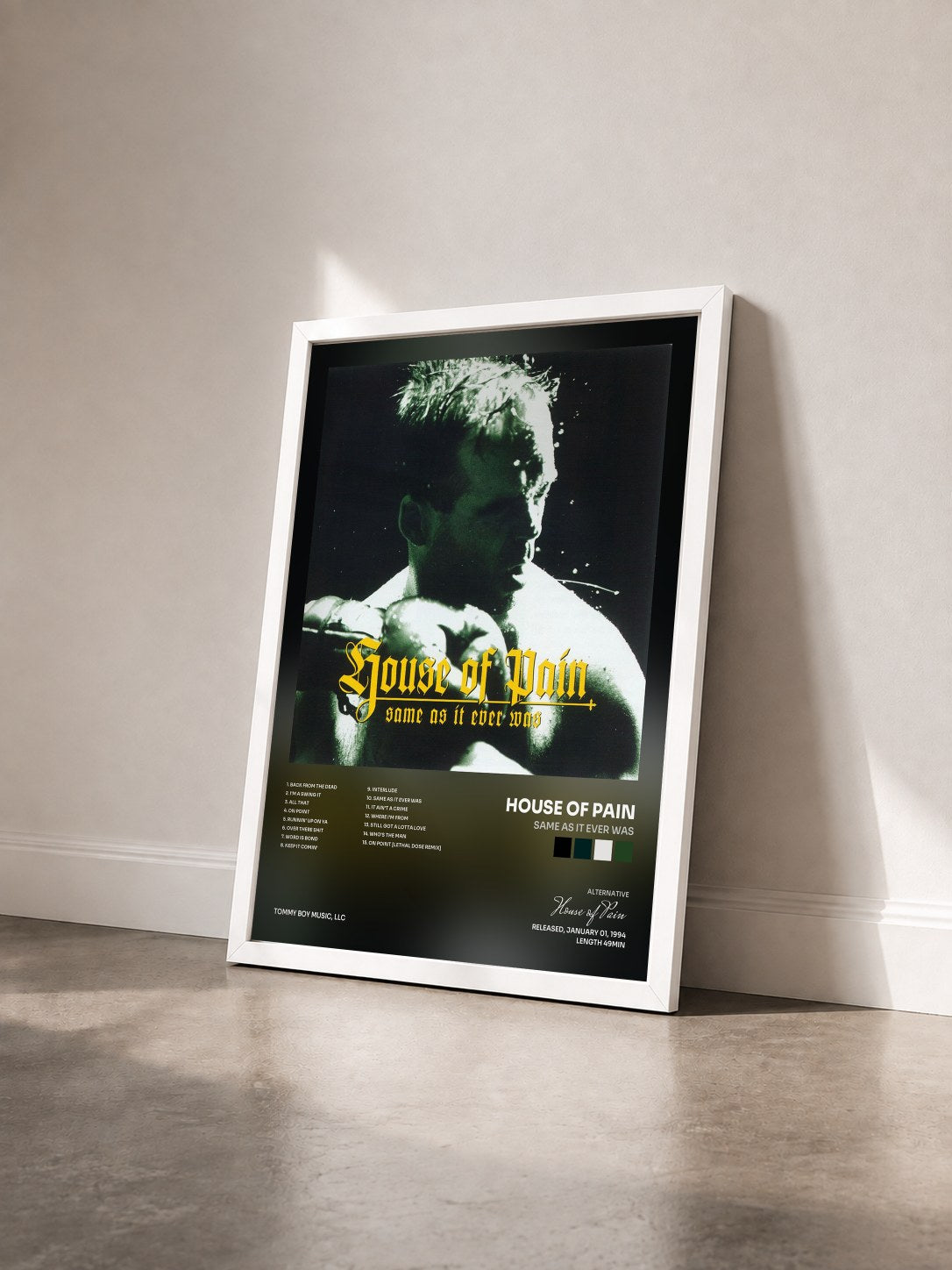 #blanc Tableau de l'album Same As It Ever Was de House of Pain vu de trois quarts, cadre blanc
