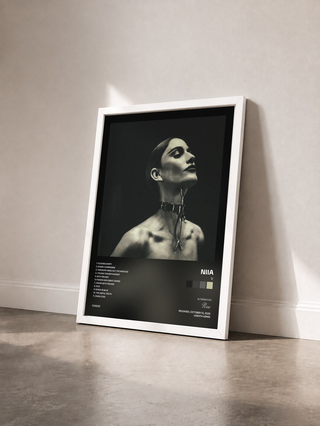 #blanc Tableau de l'album V de Niia vu de trois quarts, cadre blanc