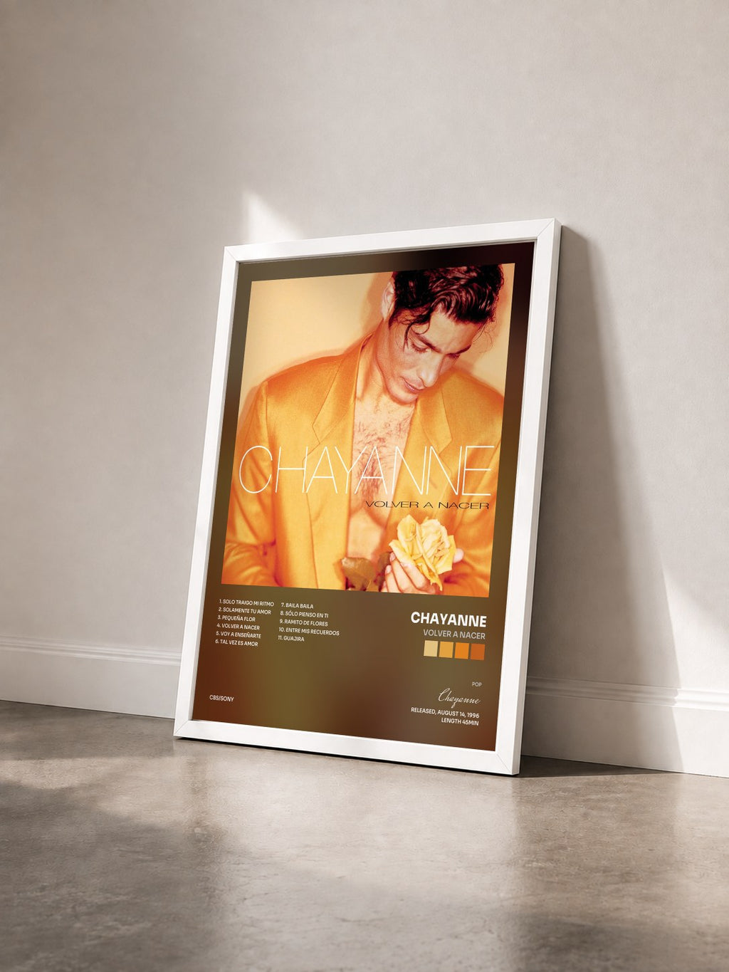 #blanc Tableau de l'album Volver A Nacer de Chayanne vu de trois quarts, cadre blanc