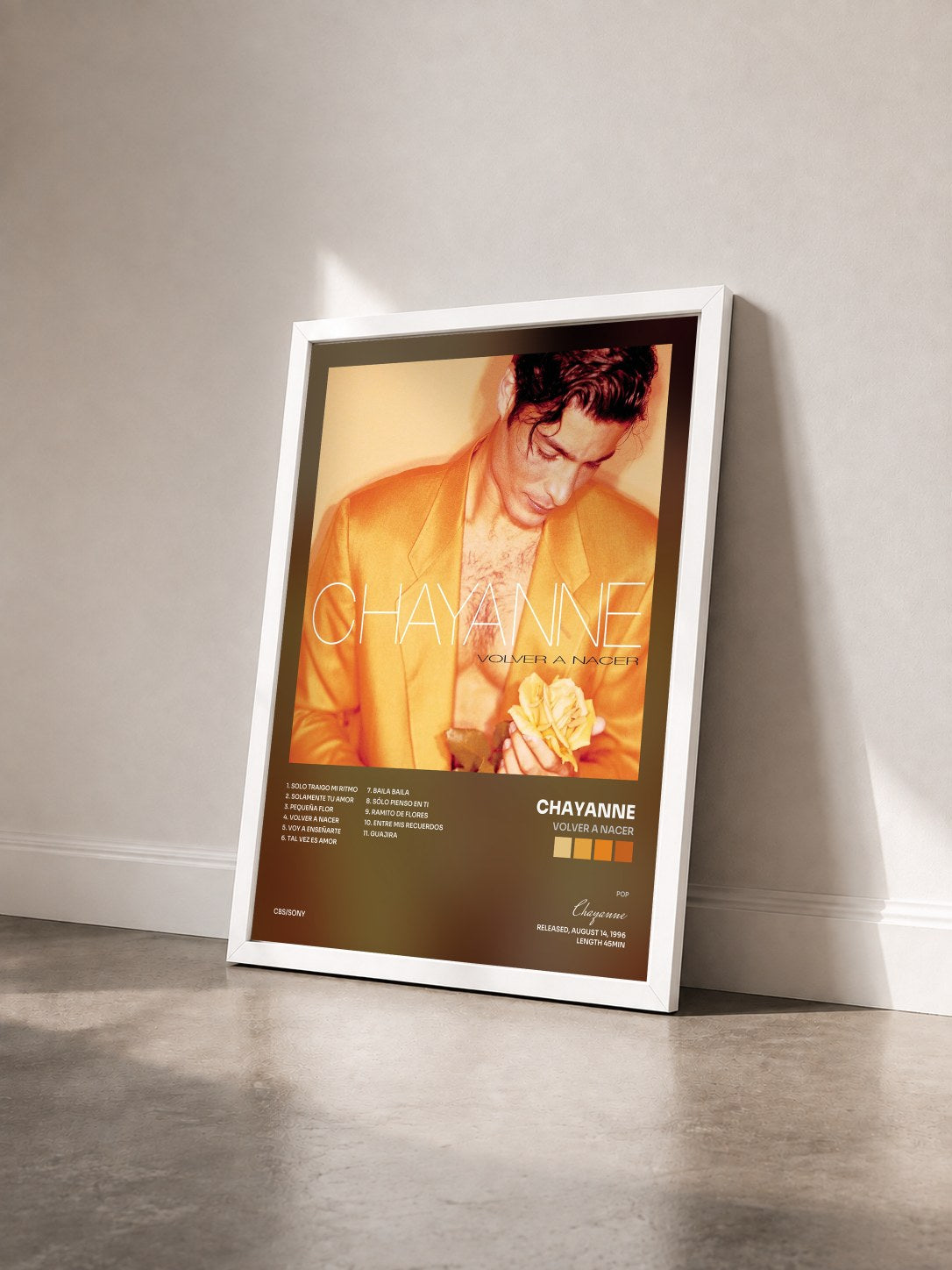 #blanc Tableau de l'album Volver A Nacer de Chayanne vu de trois quarts, cadre blanc