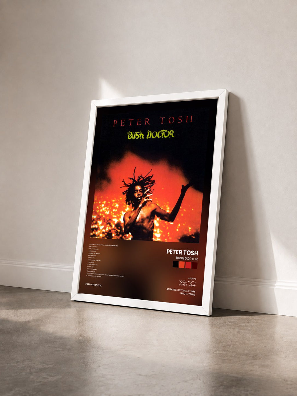 #blanc Tableau de l'album Bush Doctor de Peter Tosh vu de trois quarts, cadre blanc