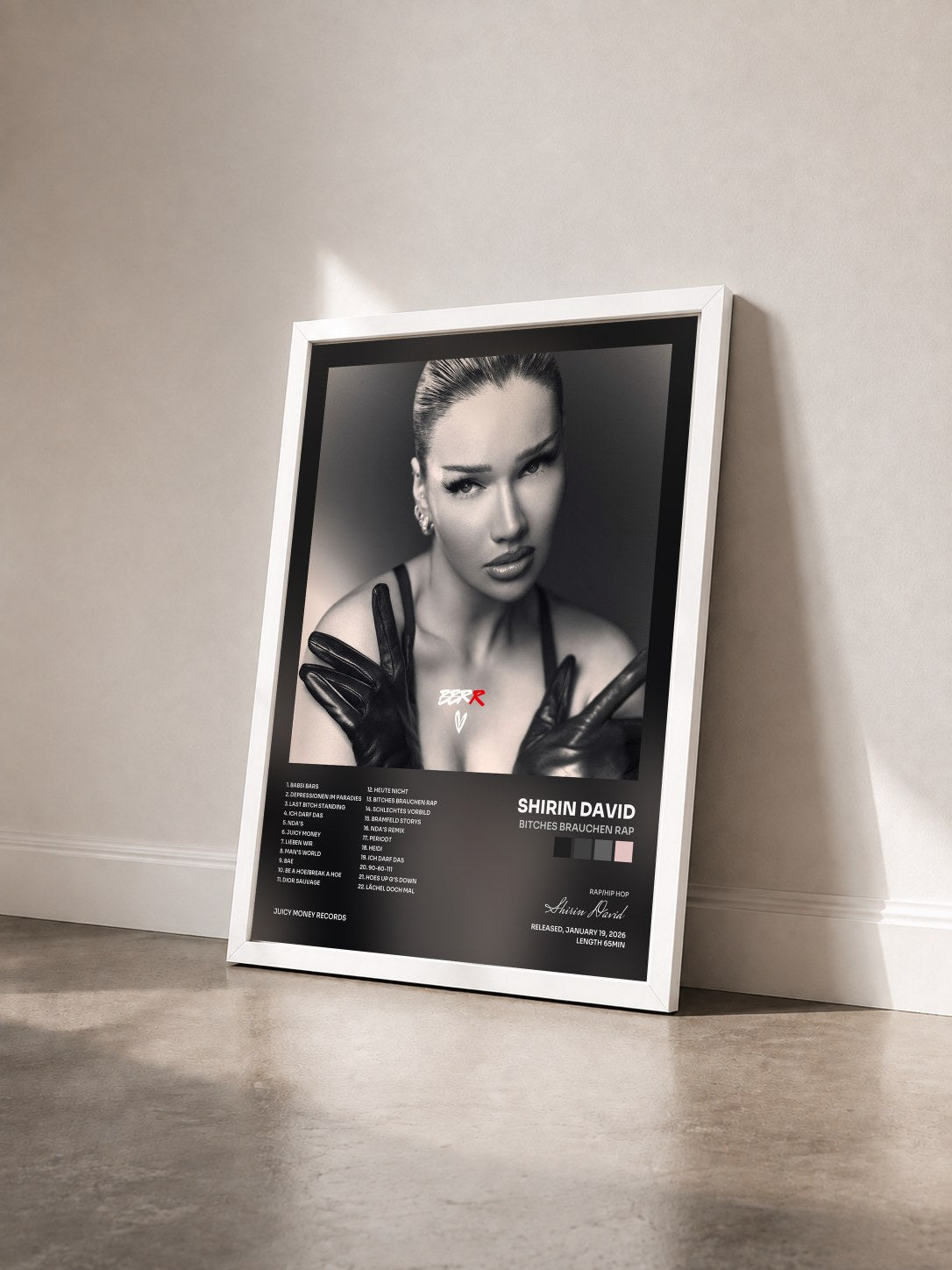 #blanc Tableau de l'album Bitches brauchen Rap de Shirin David vu de trois quarts, cadre blanc