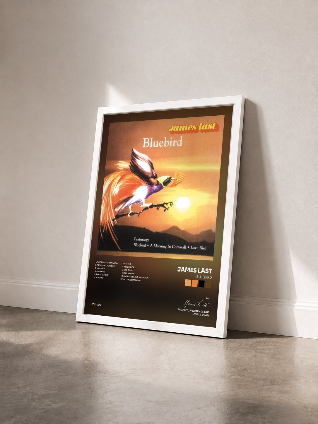 #blanc Tableau de l'album Bluebird de James Last vu de trois quarts, cadre blanc