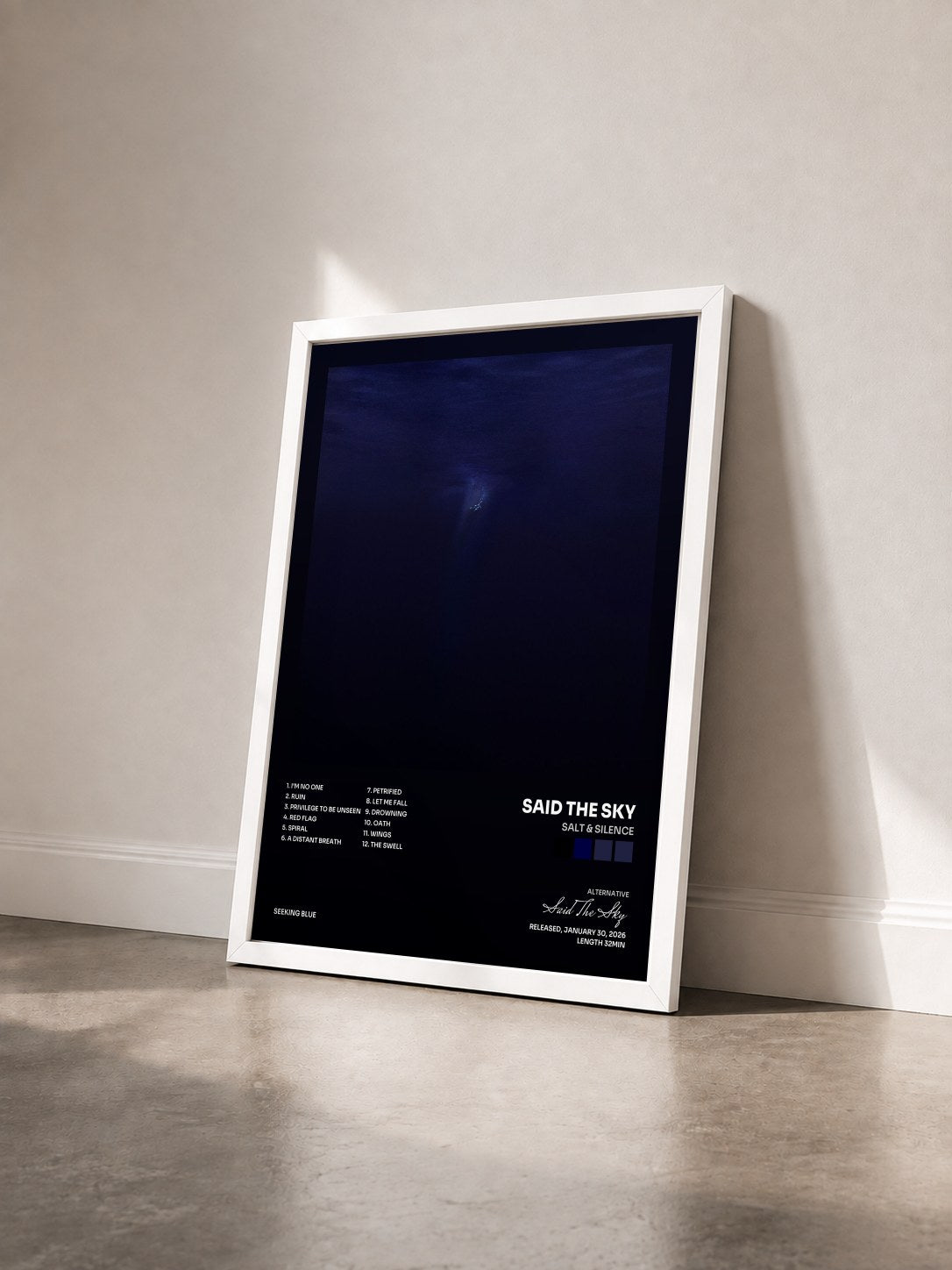#blanc Tableau de l'album Salt & Silence de Said The Sky vu de trois quarts, cadre blanc