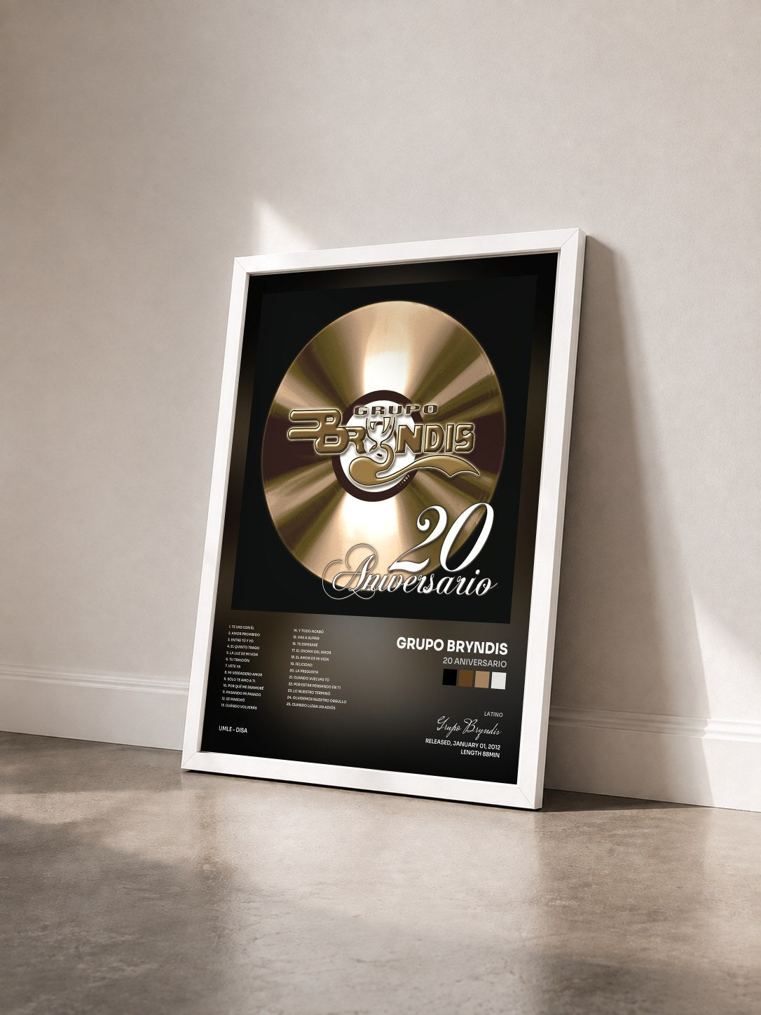 #blanc Tableau de l'album 20 Aniversario de Grupo Bryndis vu de trois quarts, cadre blanc