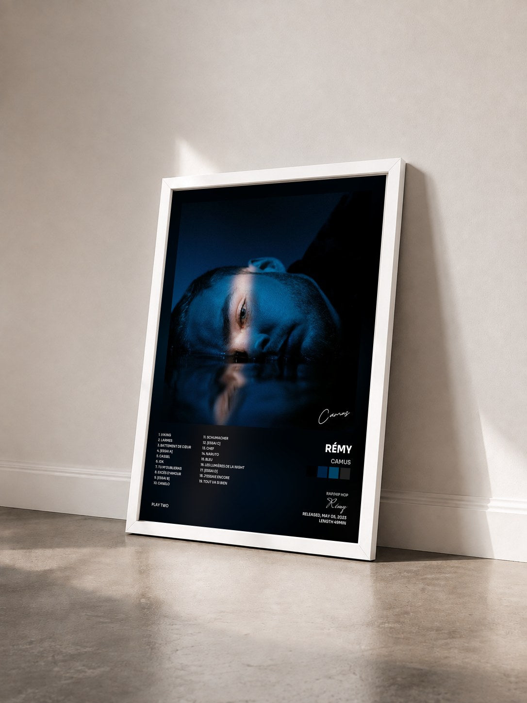 #blanc Tableau de l'album Camus de Rémy vu de trois quarts, cadre blanc