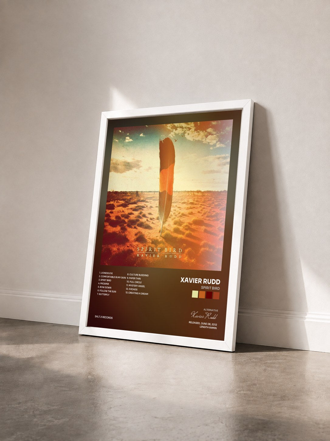 #blanc Tableau de l'album Spirit Bird de Xavier Rudd vu de trois quarts, cadre blanc