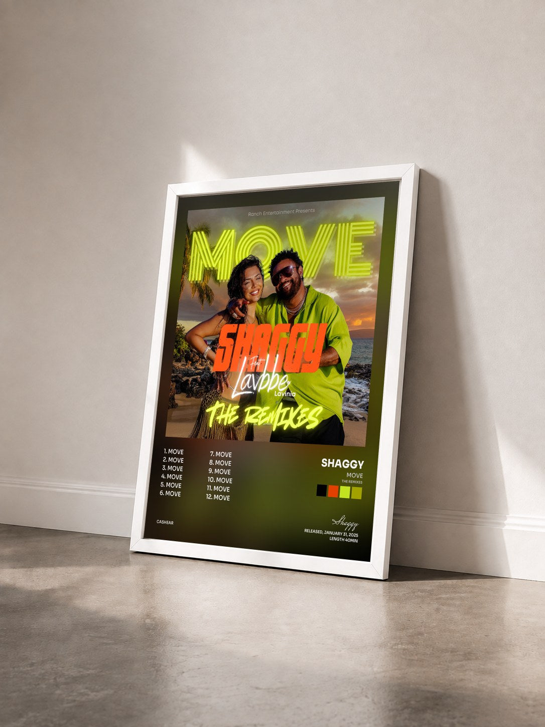 #blanc Tableau de l'album MOVE (The Remixes) de Shaggy vu de trois quarts, cadre blanc