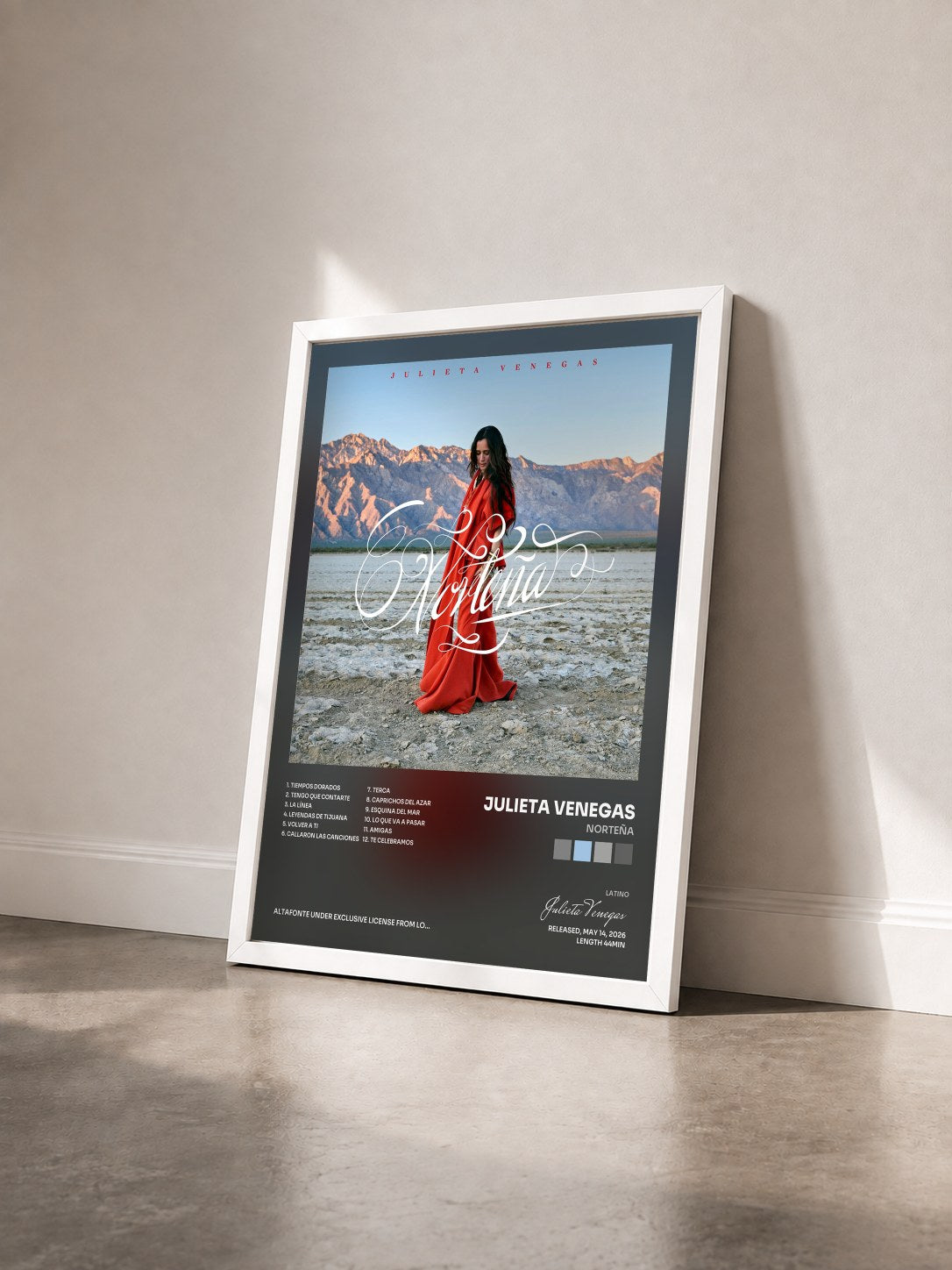 #blanc Tableau de l'album Norteña de Julieta Venegas vu de trois quarts, cadre blanc