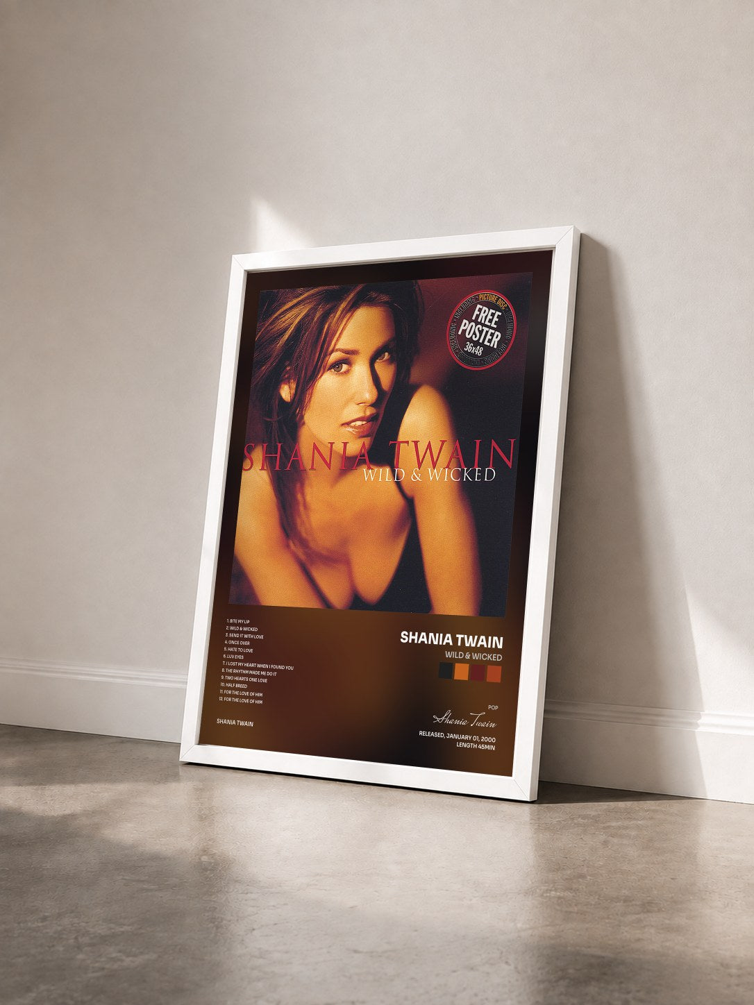 #blanc Tableau de l'album Wild & Wicked de Shania Twain vu de trois quarts, cadre blanc