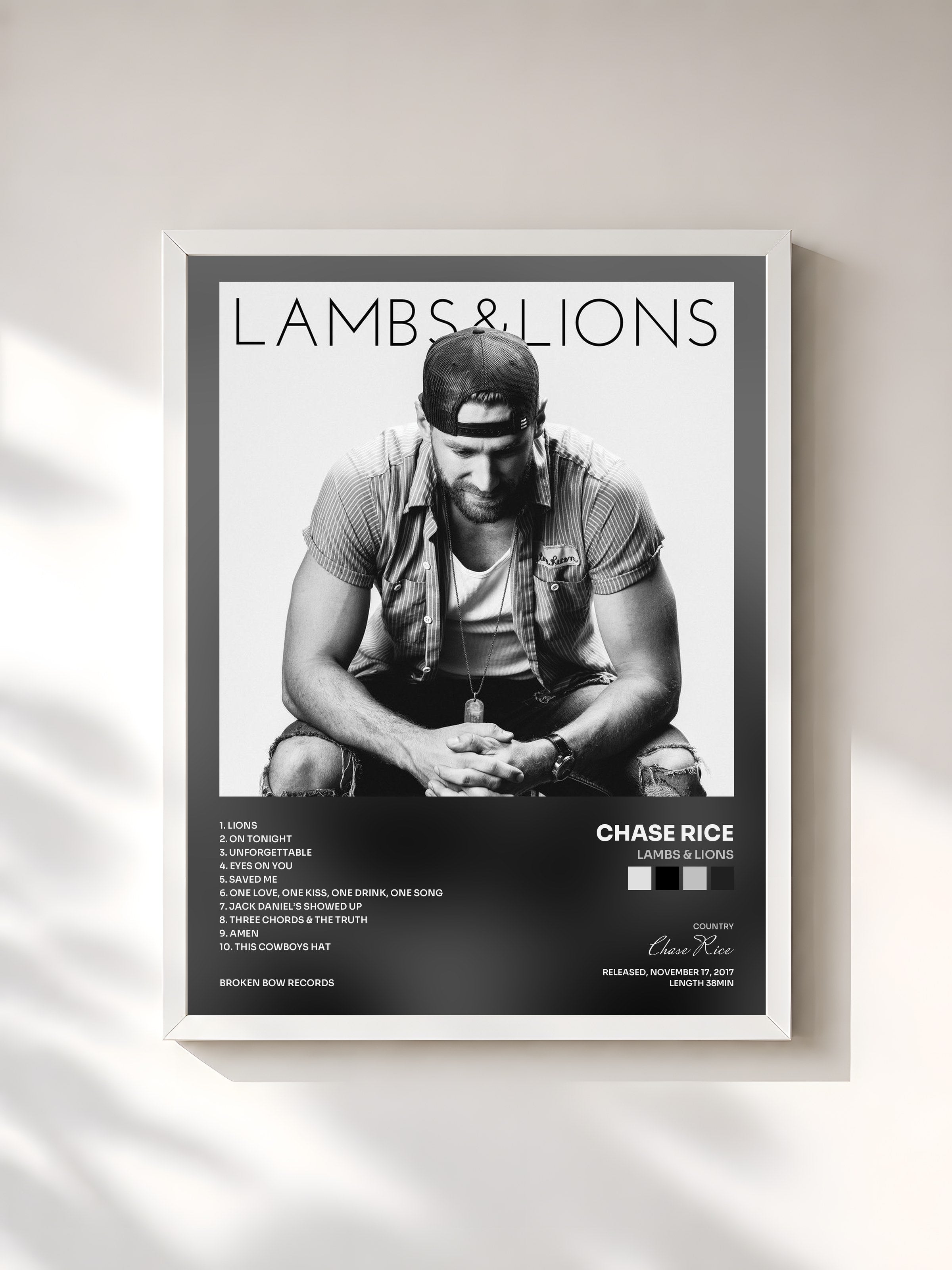 #blanc Tableau de l'album Lambs & Lions de Chase Rice, cadre blanc, imprimé et encadré en France