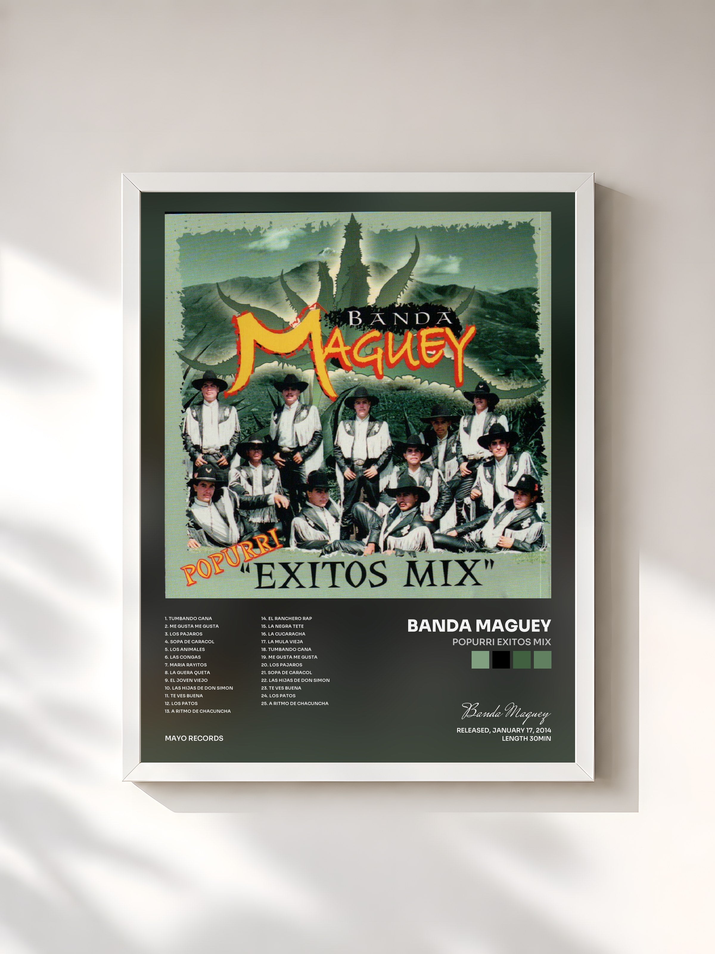 #blanc Tableau de l'album Popurri Exitos Mix de Banda Maguey, cadre blanc, imprimé et encadré en France