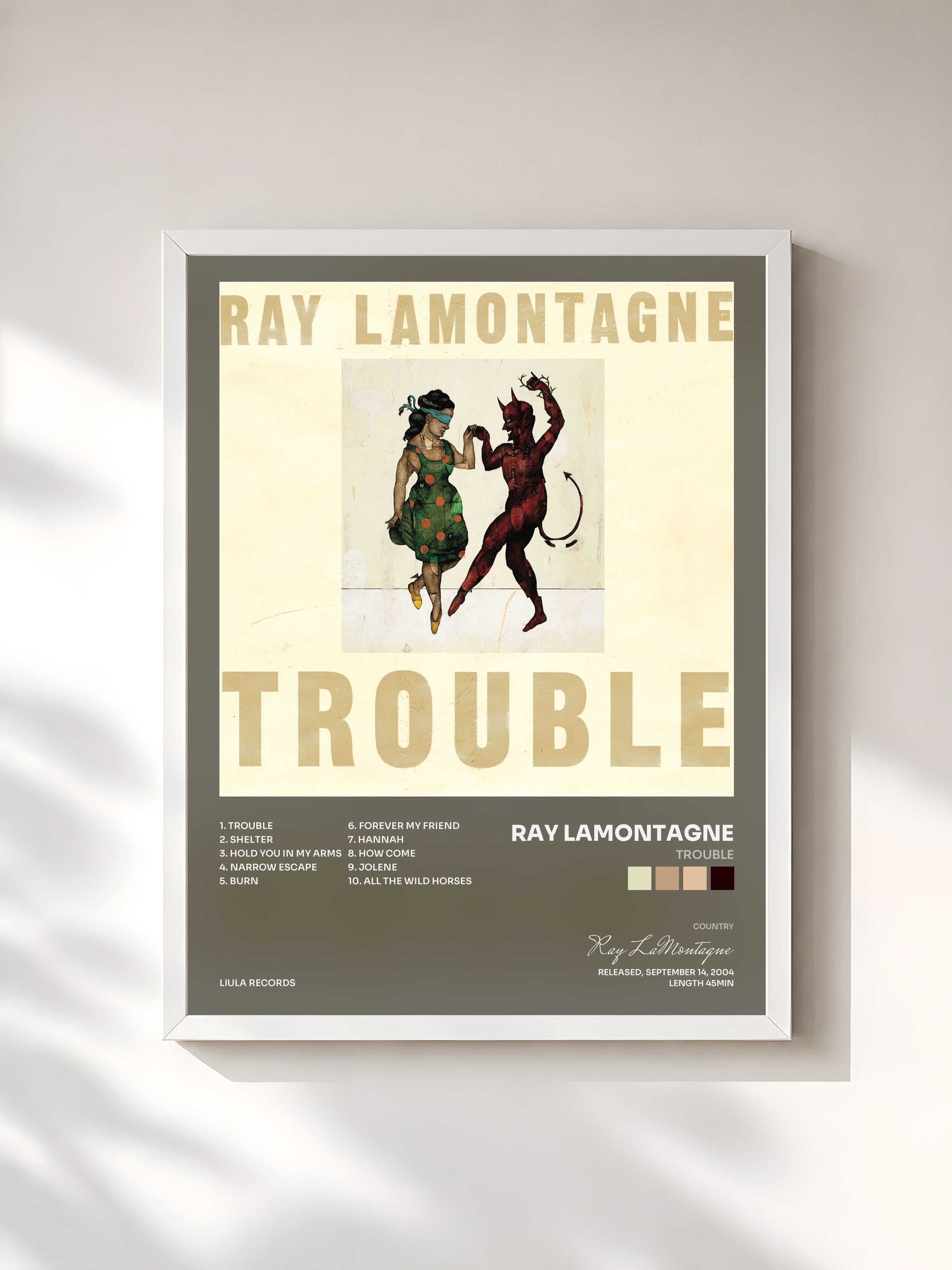 #blanc Tableau de l'album Trouble de Ray LaMontagne, cadre blanc, imprimé et encadré en France
