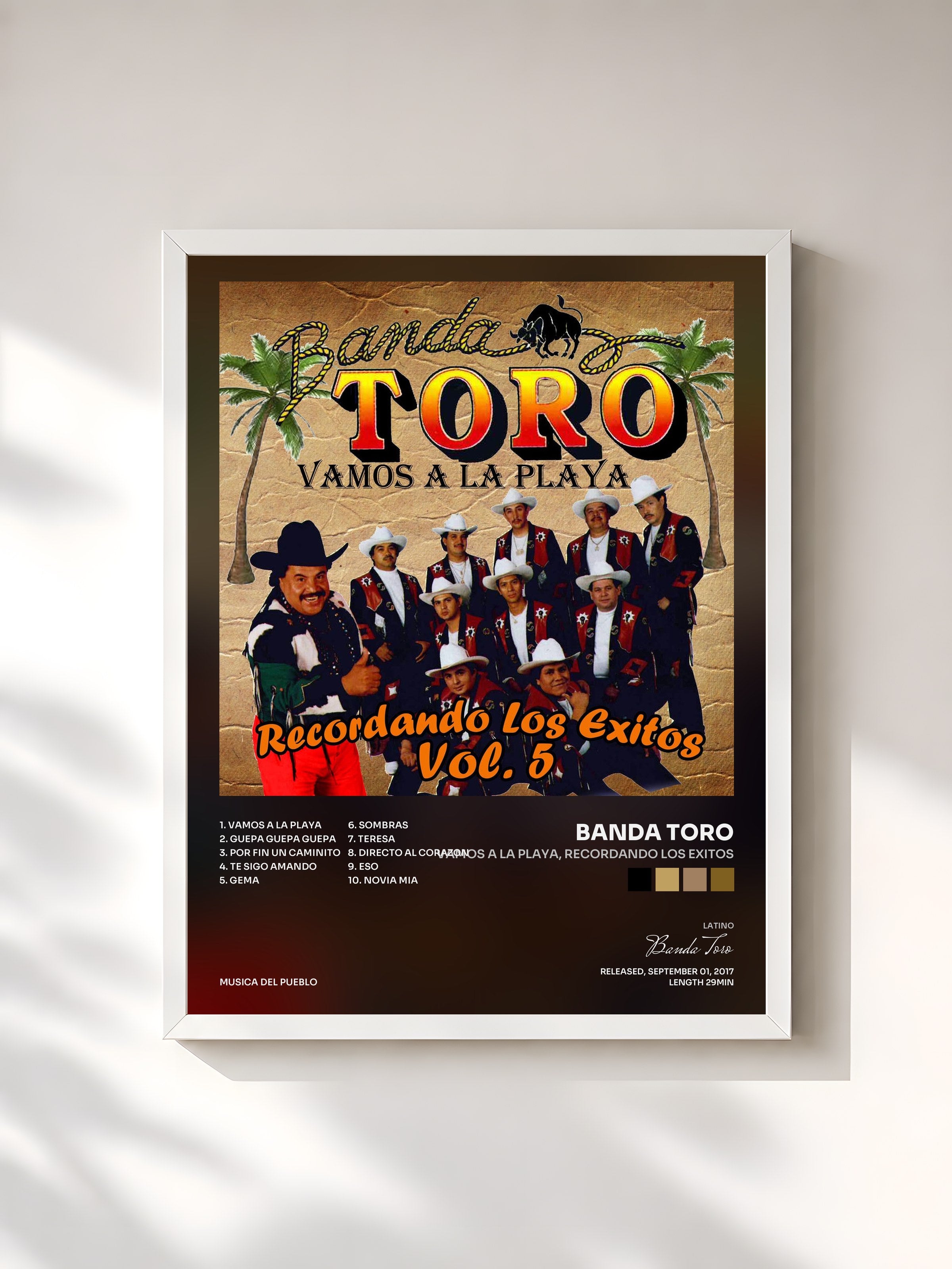 #blanc Tableau de l'album Vamos a la Playa, Recordando los Exitos de Banda Toro, cadre blanc, imprimé et encadré en France
