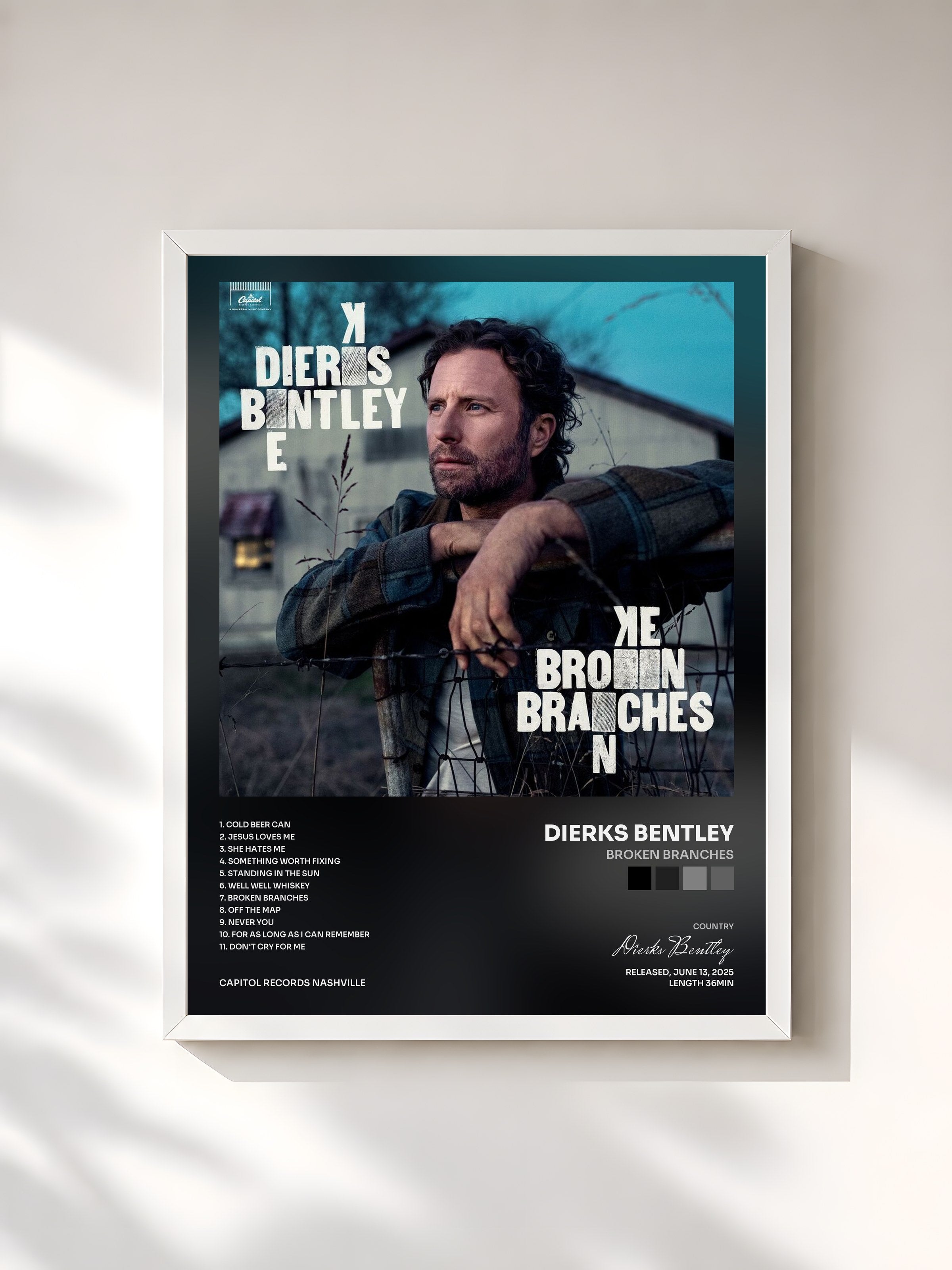 #blanc Tableau de l'album Broken Branches de Dierks Bentley, cadre blanc, imprimé et encadré en France